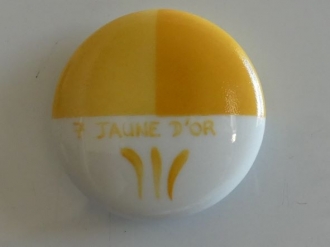 JAUNE D’OR – 007