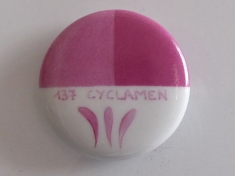 CYCLAMEN – 137